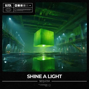 Shine A Light by SEQUOIA Cover Art