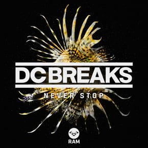 Never Stop by DC Breaks Cover Art