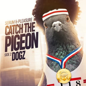 Catch The Pigeon / Dogz by Serum & DJ Pleasure Cover Art