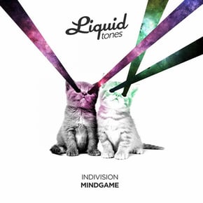 Mind Game by Indivision Cover Art