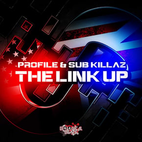 The Link Up by Profile & Sub Killaz Cover Art