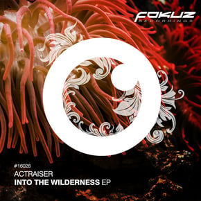 Into The Wilderness EP by Actraiser Cover Art