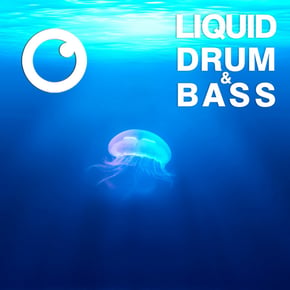 Liquid Drum & Bass Sessions 2020 Vol 29 : The Mix by Dreazz Cover Art