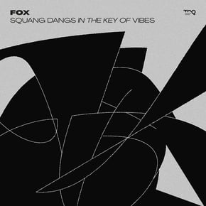 Squang Dangs in the Key of Vibes by Fox Cover Art