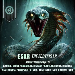 The Ecdysis LP by ESKR Cover Art