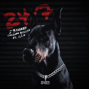 247 by Bookey Cover Art
