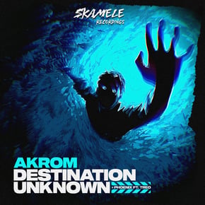 Destination Unknown / Phoenix by Akrom Cover Art