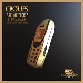 Are You There? by CLIQUES. & Kleu Cover Art