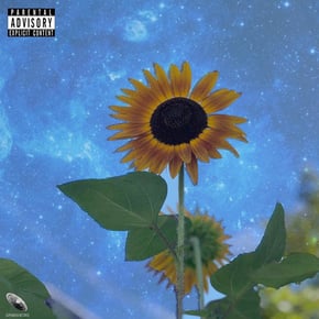 When the Sun Kisses by Koto Cover Art