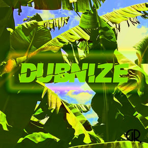 Dubnize by Aaron Loxx Cover Art