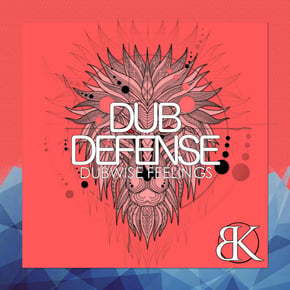 Dubwise Feelings by Dub Defense Cover Art