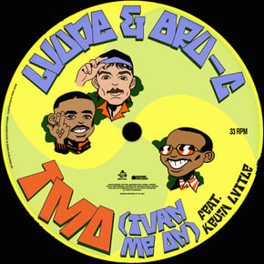 TMO (Turn Me On) [feat. Kevin Lyttle] by Bru-C Cover Art