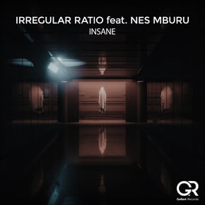 Insane by Tengu & Irregular Ratio Cover Art