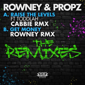Raise the Levels (Cabbie Remix) / Get Money (Rowney Remix) by Rowney & Propz Cover Art