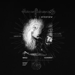 Not Here / Satisfy by Wingz & Koherent Cover Art