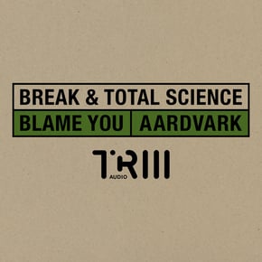 Blame You / Aardvark by Break & Total Science Cover Art