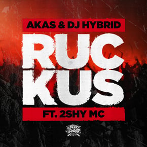 Ruckus by Harley D, DJ Hybrid & AKAS Cover Art