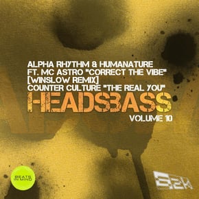 Correct The Vibe (Winslow Remix) by Alpha Rhythm, Humanature, Winslow & MC ASTRO Cover Art