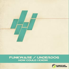 How Could I Know by Funkware Cover Art