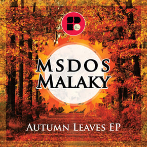 Autumn Leaves by MSDOS & Malaky Cover Art