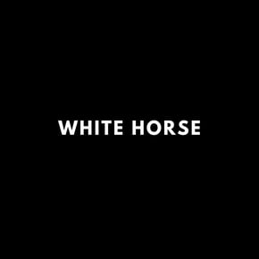 White Horse (Radio Edit) by Muffler Cover Art