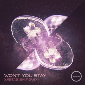 Won't You Stay (Mistabishi Remix) by Indivision, Mistabishi & Livewire Cover Art