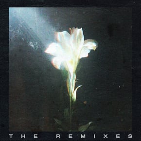 Light That Leads Me (The Remixes) by Netsky Cover Art