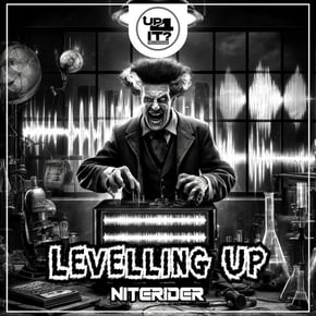 Levelling Up by Niterider Cover Art