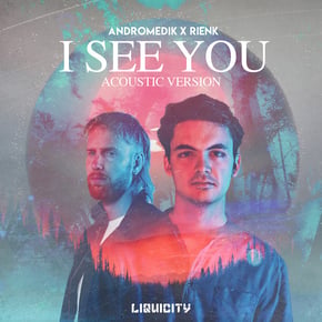 I See You (Acoustic) by Andromedik Cover Art