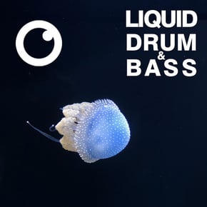 Liquid Drum & Bass Sessions 2020 Vol 37 : The Mix by Dreazz Cover Art