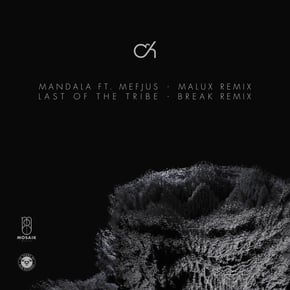 Mandala (Malux Remix) / Last of the Tribe (Break Remix) by Camo & Krooked Cover Art