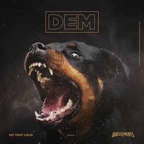 Hit That Loud by Dub Elements Cover Art