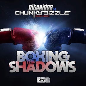Boxing the Shadows by Niterider Cover Art