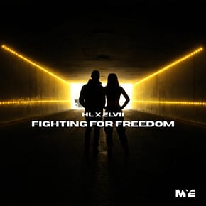 Fighting For Freedom by HL & Elvii Cover Art