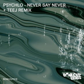 Never Say Never by Teej Cover Art