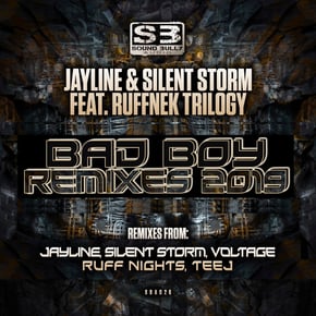Bad Boy Remixes 2019 by Jayline Cover Art