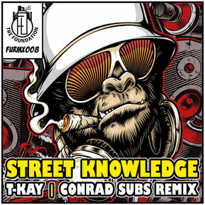 Street Knowledge by Conrad Subs Cover Art