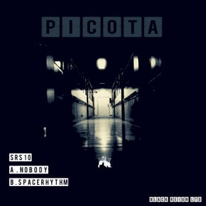 Nobody / Space Rhythm by Picota Cover Art