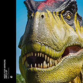 Diplo EP by Need For Mirrors Cover Art