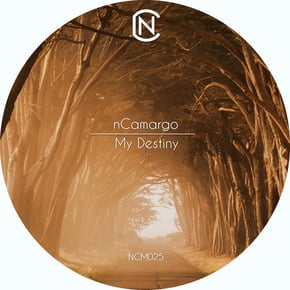 My Destiny by nCamargo Cover Art