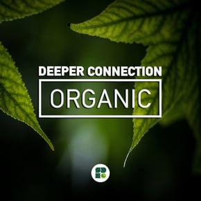 Organic by Deeper Connection Cover Art