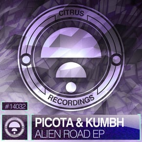 Alien Road EP by Picota Cover Art