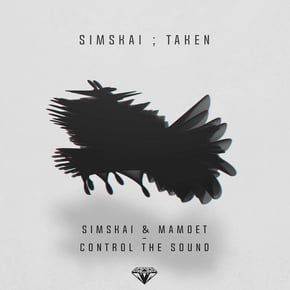 Taken / Control The Sound by Simskai Cover Art