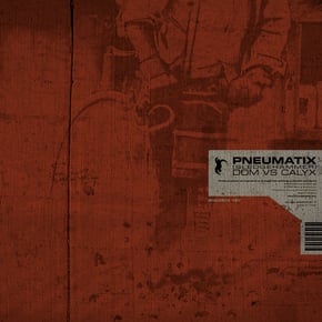 Pneumatix (Sledgehammer Mix) / See the Light by Dom & Roland & Calyx Cover Art
