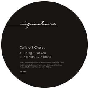 Doing It For You / No Man Is An Island by Calibre Cover Art