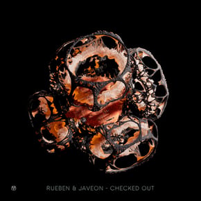 Checked Out by Rueben Cover Art