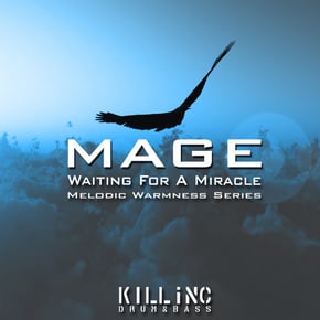Waiting For A Miracle by Mage Cover Art