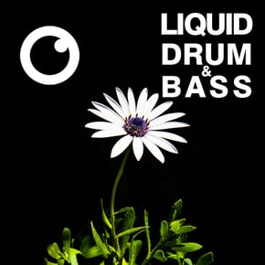 Liquid Drum & Bass Sessions 2020 Vol 35 : The Mix by Dreazz Cover Art