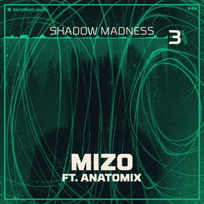 Shadow Madness by AnatomiX Cover Art