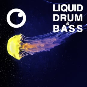 Liquid Drum & Bass Sessions 2020 Vol 28 : The Mix by Dreazz Cover Art